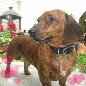 Meet your Posher, Christopher